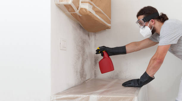Professional Bathroom Mold Removal technician working in Tewksbury, MA